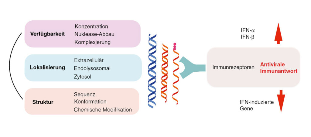 Immunerkennung