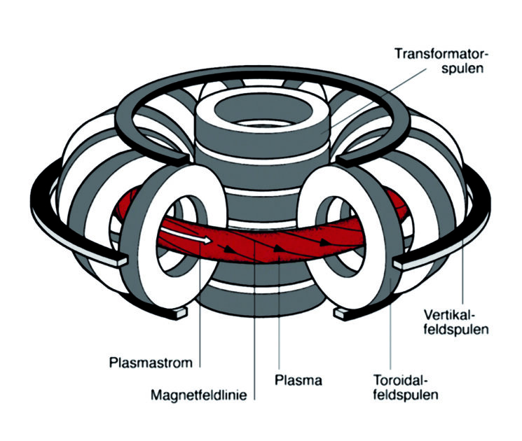 Abbildung 9. Das Prinzip eines Tokamaks: Ein Donut-förmiger Ring, in dessen Mitte das heiße Plasma durch starke Magnete eingeschlossen wird. Bild: IPP