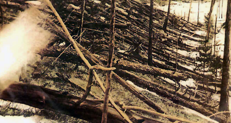 Durch das sogenannte „Tunguska-Ereignis“ 1908 wurden auf einer Fläche in Sibirien, die ungefähr der des Saarlandes entspricht, 80 Millionen Bäume umgelegt. Die Aufnahme stammt aus dem Jahr 1927.