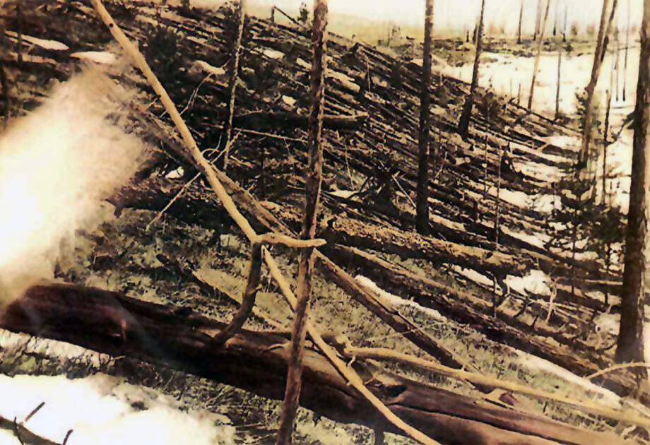 Durch das sogenannte „Tunguska-Ereignis“ 1908 wurden auf einer Fläche in Sibirien, die ungefähr der des Saarlandes entspricht, 80 Millionen Bäume umgelegt. Die Aufnahme stammt aus dem Jahr 1927.